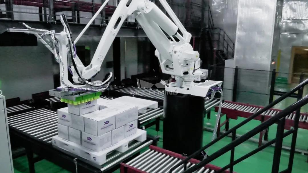 梅卡曼德案例集錦 | 物流行業視覺引導拆碼垛應用