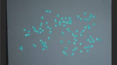 簡(jiǎn)單操作解決復(fù)雜質(zhì)檢問(wèn)題！梅卡曼德AI質(zhì)檢平臺(tái)軟件Mech-DLK發(fā)布