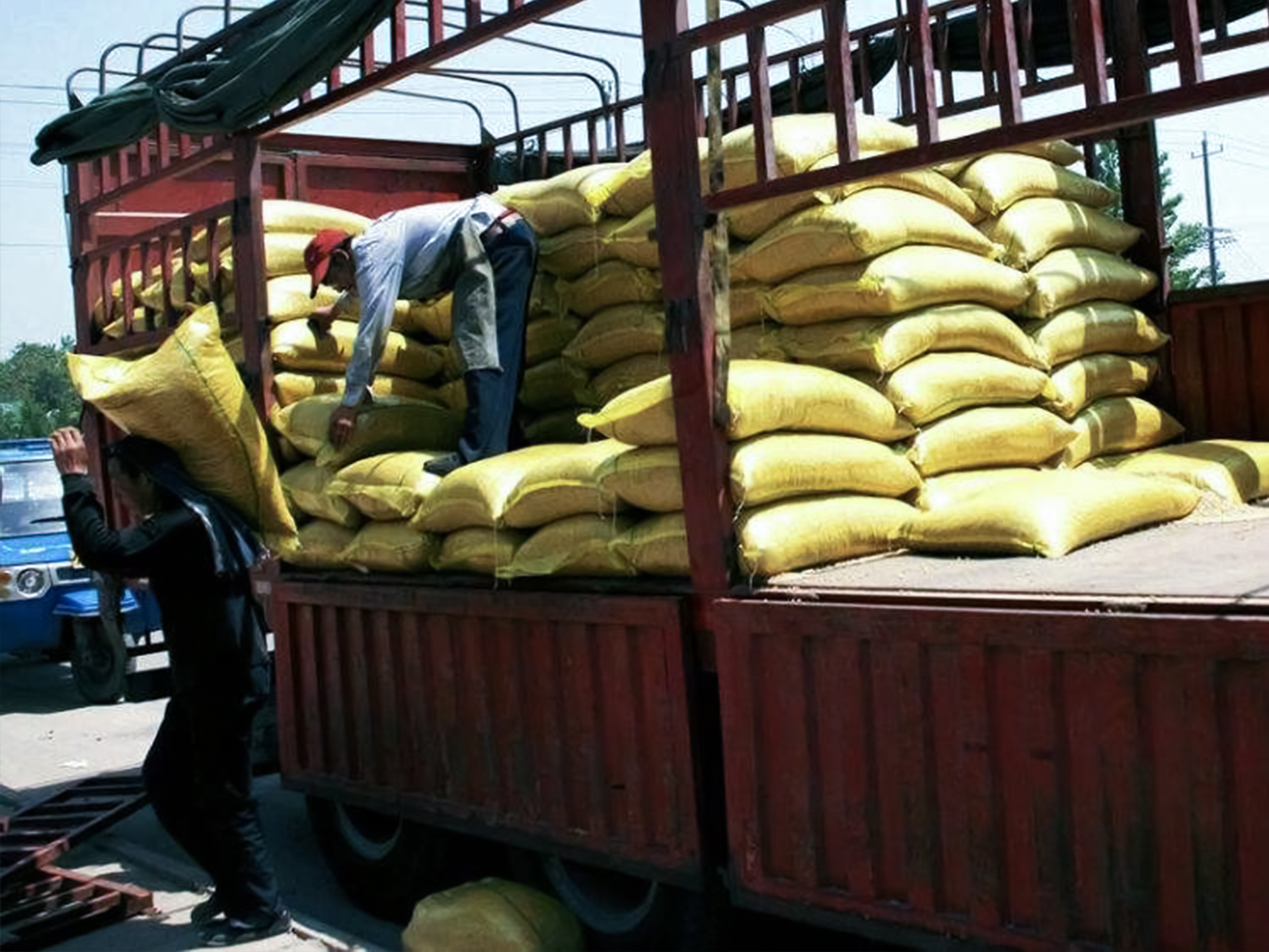 梅卡曼德合作伙伴推出全自動機器人裝卸車解決方案